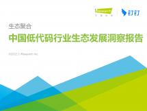 2022年中国低代码行业生态开展洞察报告
