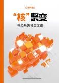 “核”聚变：核心系统转型之路