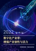 数字化产业带：增强产业韧性与活力