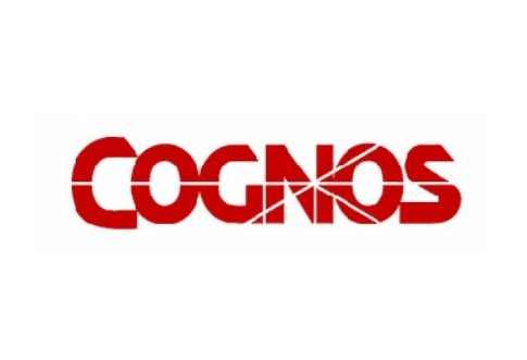 国产化BI平滑替代，某知名寿险Cognos替换项目分享