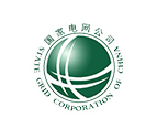 国家电网某子公司：数据资产管理项目