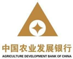 中国农业开展银行：综合报表平台